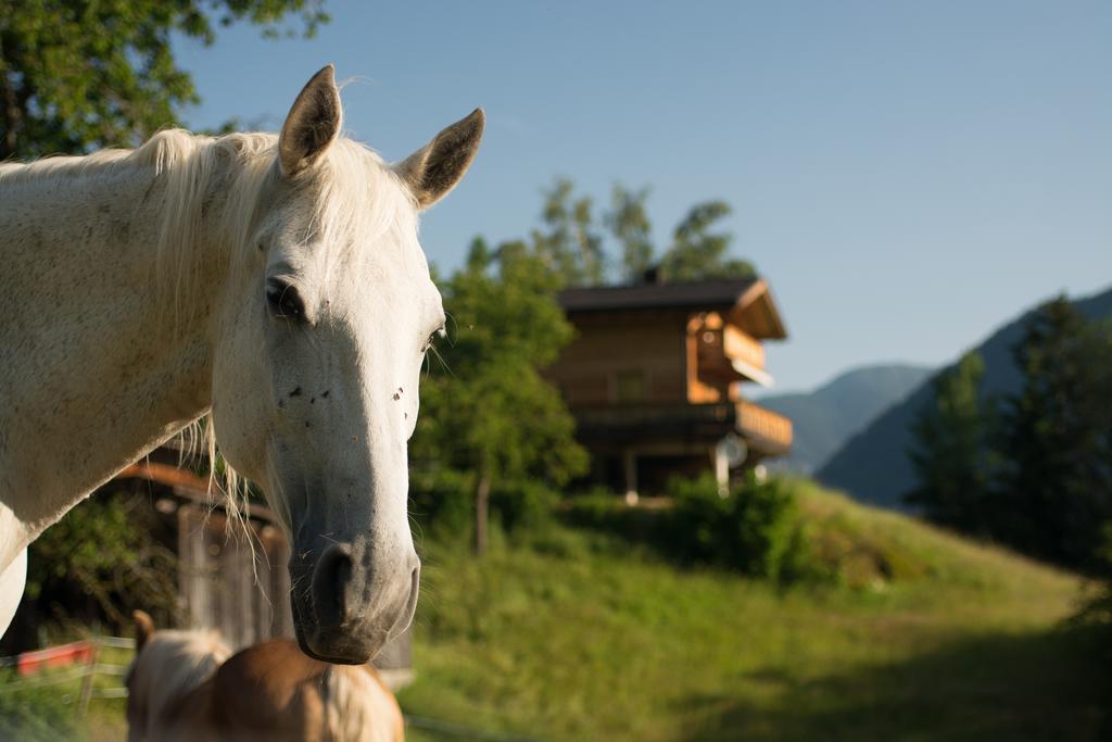 Ferienhaus Oetztal Sautens Exterior foto