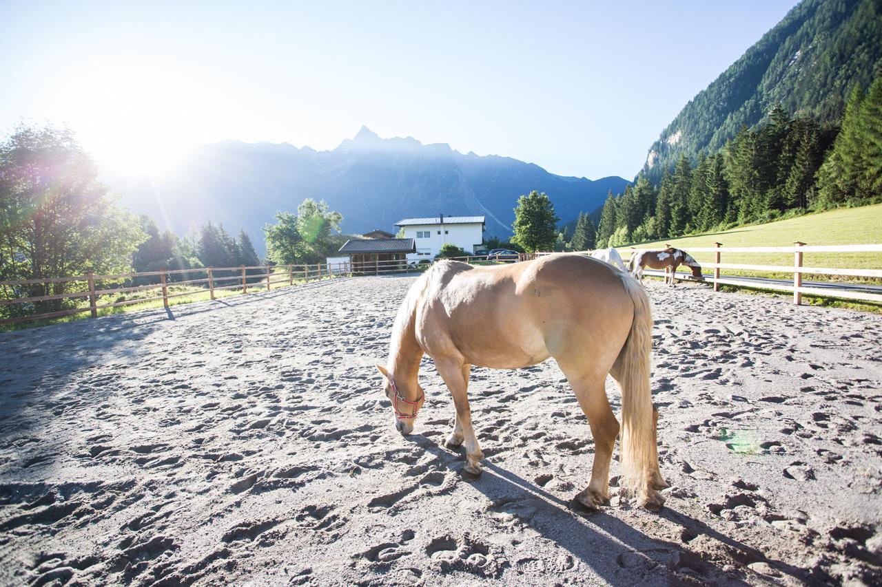 Ferienhaus Oetztal Sautens Exterior foto