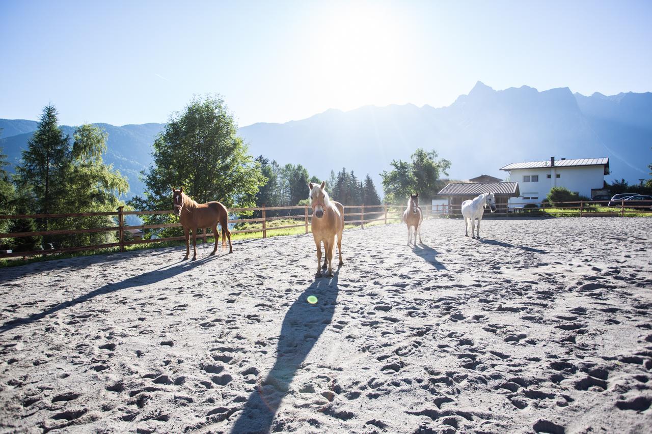Ferienhaus Oetztal Sautens Exterior foto